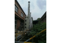 湖南廢氣處理塔的特點以及應用領域